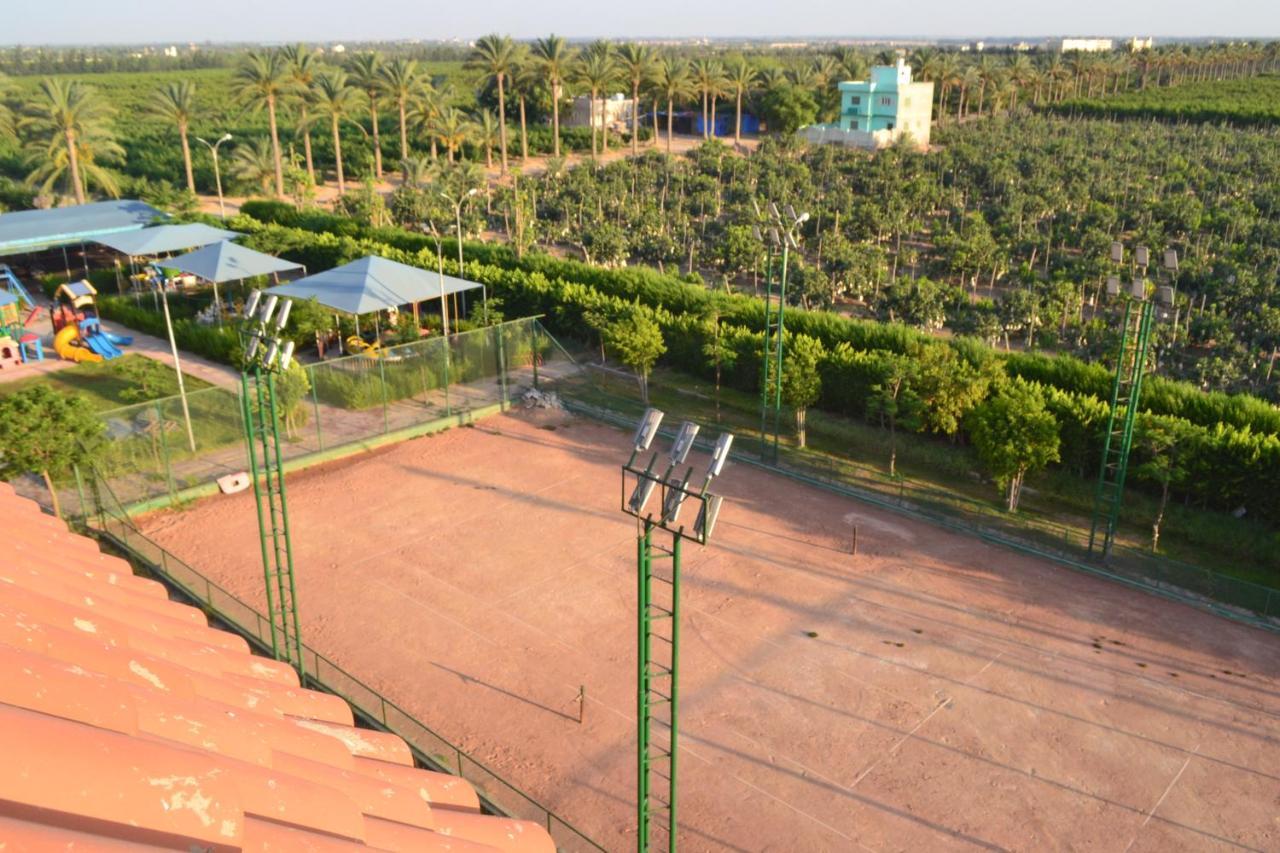 Green Desert Sadat City 외부 사진